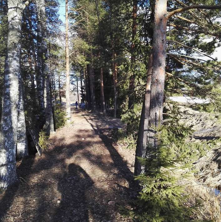 Tontti, 2 820 m², Torppi - Näkymä 3