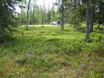 Sodankylä, Luosto