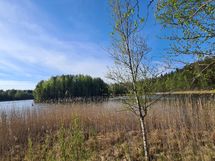 Yleiskuvaa alueesta