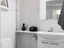 Erillinen wc