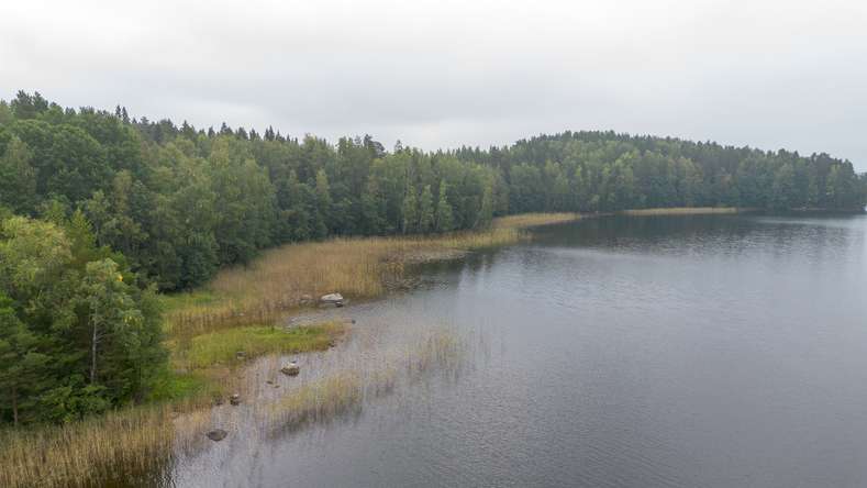 Tontti, 4 050 m², Kirkkola, Hartola