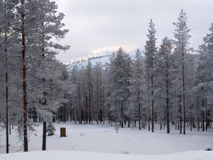 Kohdekuva