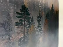 Makuuhuoneen yhdellä seinällä on tunnelmallinen tapetti.