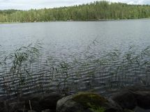 Näkymä Kuohijärvelle