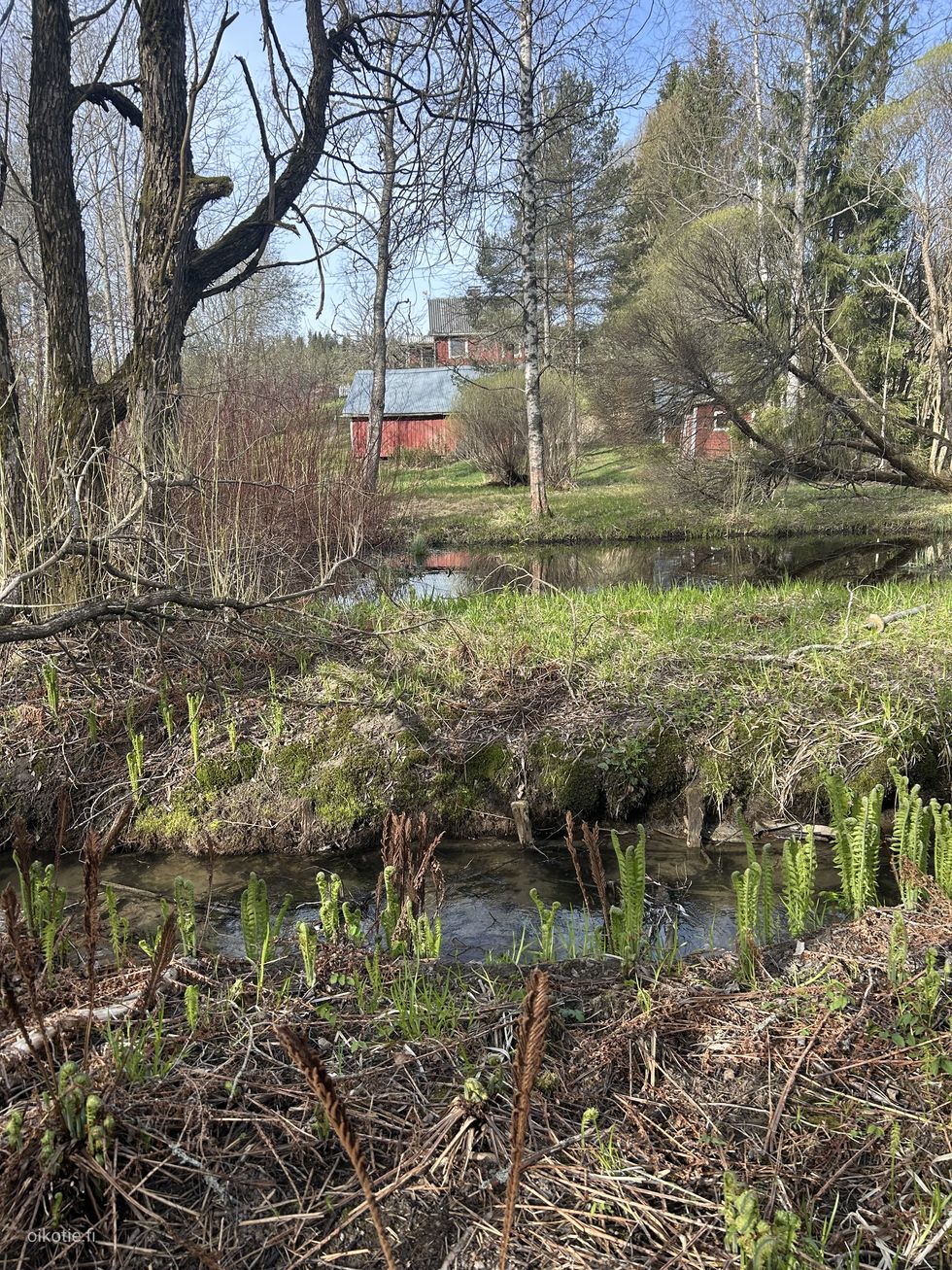 Kohdekuva