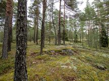 Salo, Särkisalo, Karhumäki