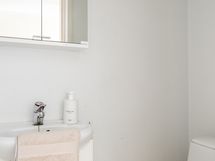 A1 wc