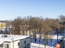 Näkymää ruokailutilasta Sibeliuksenpuistoon päin