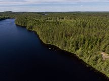 Kivijärvi Korttelit 5...6