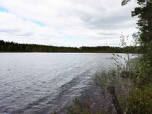 Saarijärvi, Kiesimenjärvi