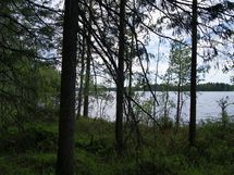 Sonkajärvi, Luomanen