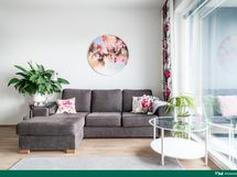 Olohuonetta isolla ikkunoilla