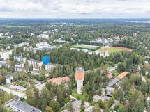 Kaleva