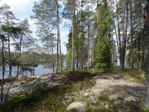 Ylöjärvi, Kuru, Heinuu ja Poikelisjärvi