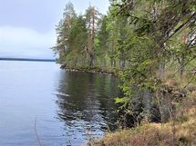 Kajaani, Laakajärvi, Haahkantie