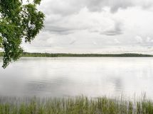 Pyykösjärven rantojen kaunista ympäristöä