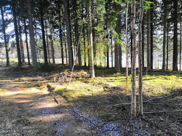Asuntoilmoituksen kuva