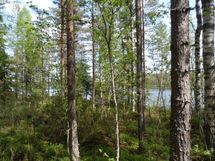 Ylöjärvi, Kuru, Iso-Mustajärvi etelä