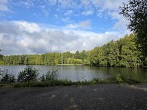 Luonto lähellä