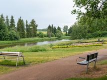 Ympäristöä kesäaikaan