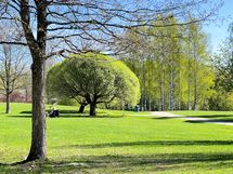 Upeat ulkoilureitit lähellä.