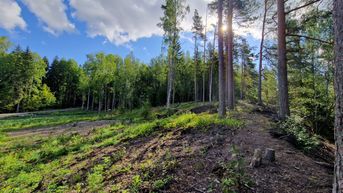 Kohdekuva