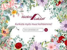 www.vuokralukaali.com