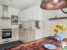 Moderni keittiö, jossa on hyvin taso- ja säilytystilaa