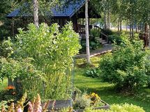 Myyjän kesäkuvia