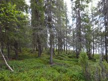 Rovaniemi-Karjalanjärvi