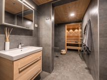 Tulilintu valmis asunto