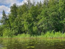 Näkymä järveltä