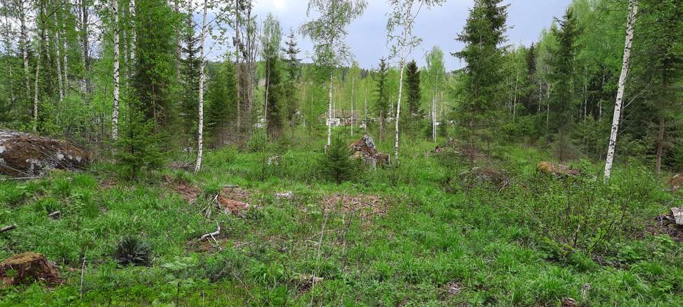 Tontti, 8 400 m², Metsolahti - Näkymä 2
