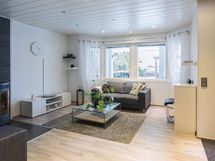 Alakerran aula/ takkatila ja eteinen