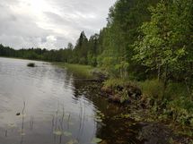 Kuhmo, Iivantiira, Saarensalmentie 