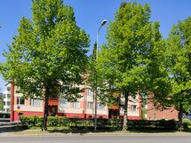 Tervetuloa kotiin!