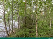 kuva 10 rantaviivaa itään