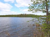 Saarijärvi, Kiesimenjärvi