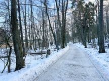 Läheiset ulkoilumaastot meren äärellä tarjoavat upeat ulkoilureitit liikuntaa harrastavalle.