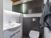 Erillinen wc
