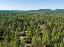 Pudasjärvi, Syöte, Pytkynharju