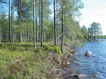 Kuhmo, Iivantiira, Petäjälahti-Kortelahti
