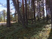 Kemijärvi, Soppela