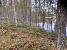 Kortteli 3, tontti 3