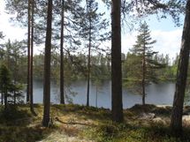 Ylöjärvi, Kuru, Heinuu ja Poikelisjärvi