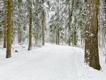 Alueella on todella hienot ja monipuoliset ulkoilumaastot.