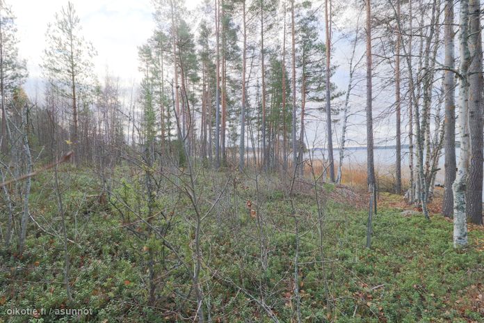 Asuntoilmoituksen kuva