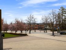 Kirjasto on vieressä