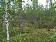 Sonkajärvi, Raudanvesi
