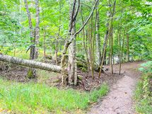 Talon kupeesta pääsee ulkoilumaastoon.